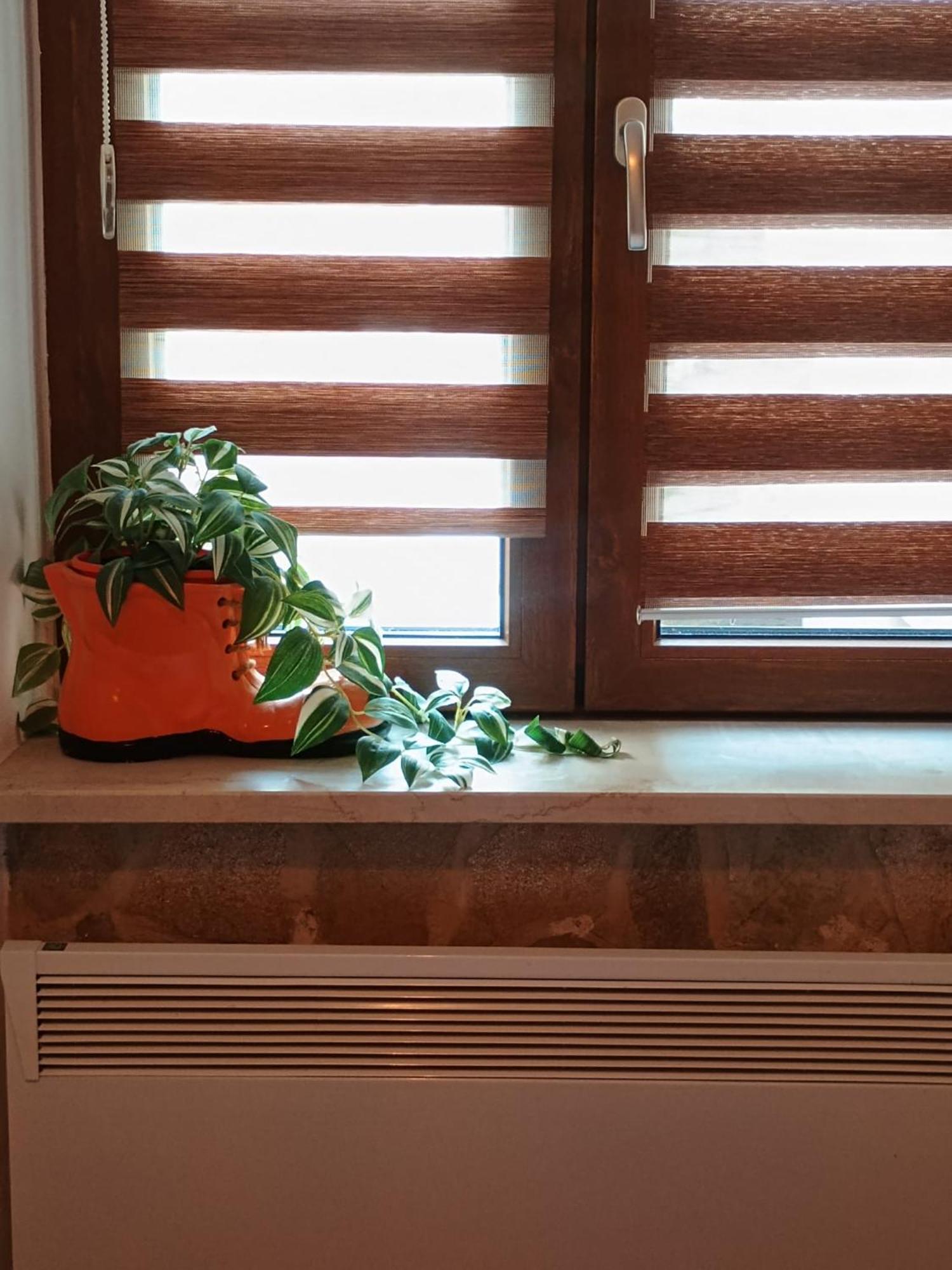 Apartament Luky 12 *